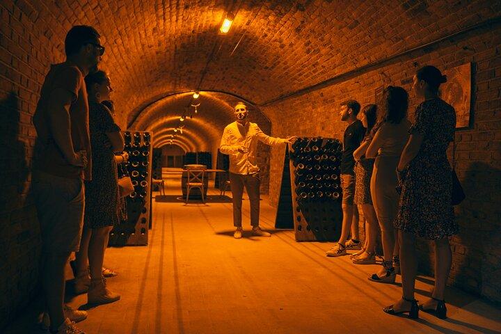 Visita à tarde e aula de degustação de champanhe perto de Epernay