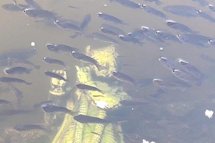 カルマ ヨガと瞑想