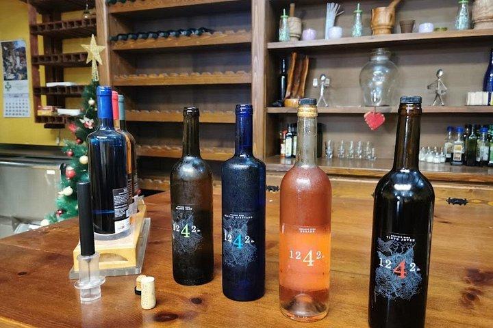 バギー ツアー ボルケーノ テイデ ワイン試飲付き
