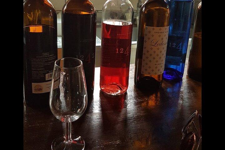 バギー ツアー ボルケーノ テイデ ワイン試飲付き