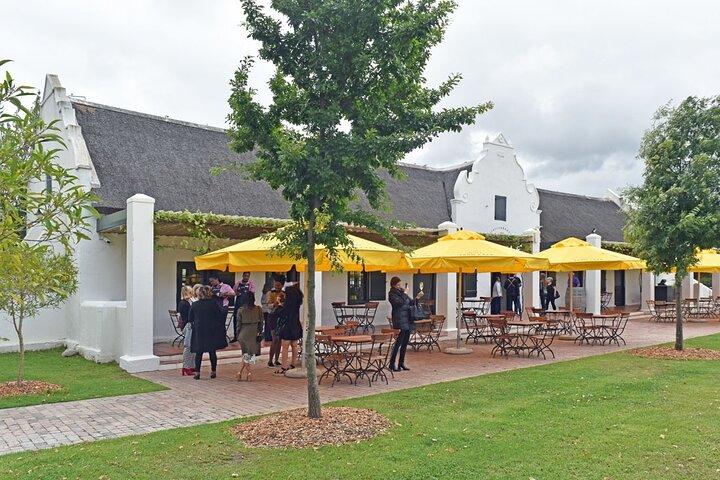 Visite privée de 3 meilleurs vignobles avec dégustation de vins du Cap