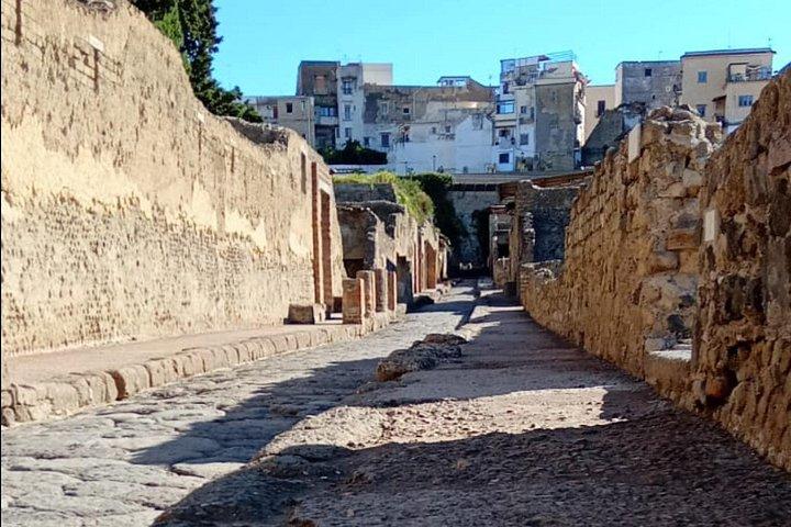 Private Tour in Herculaneum with an authorized guide