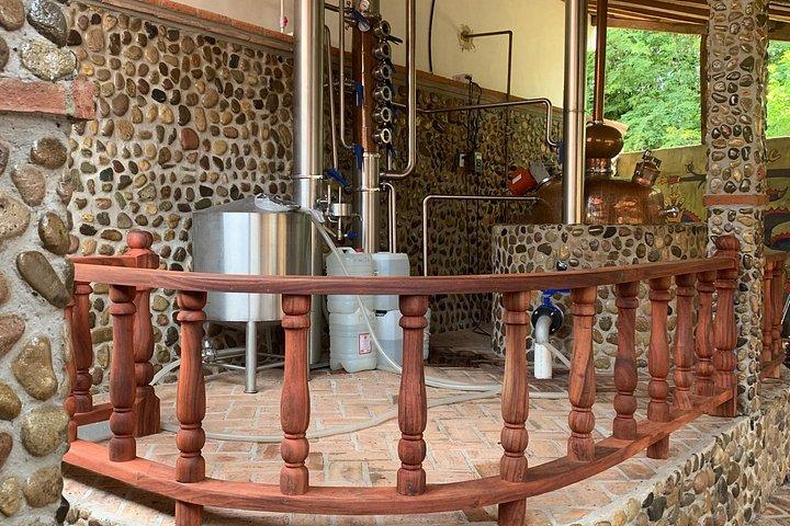 Temazcal Sweat Lodge and Tequila Tour