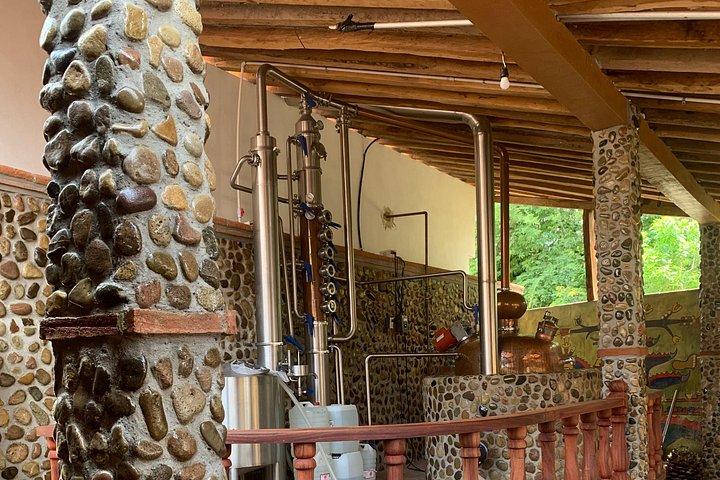 Temazcal Sweat Lodge and Tequila Tour