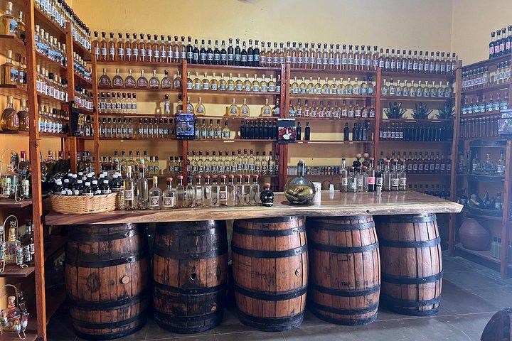 Temazcal Sweat Lodge and Tequila Tour