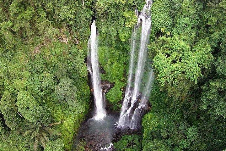 Tour di un'intera giornata alla migliore cascata di Bali