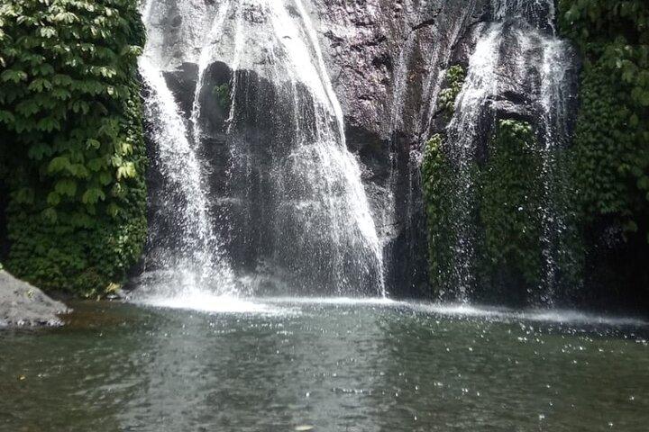 Banyumala Waterfall And Best Of North Bali Private Guided Tour