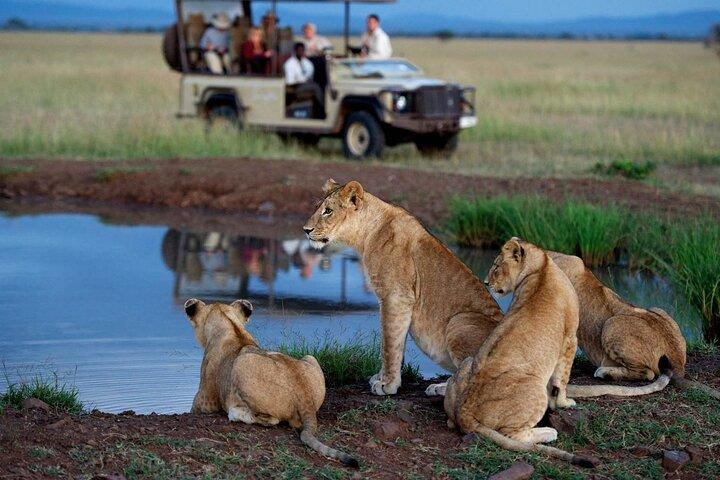 ダーバンからシュシュルウェ・インフォロジ動物保護区までの終日サファリ