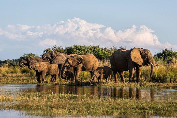 ダーバンからシュシュルウェ・インフォロジ動物保護区までの終日サファリ