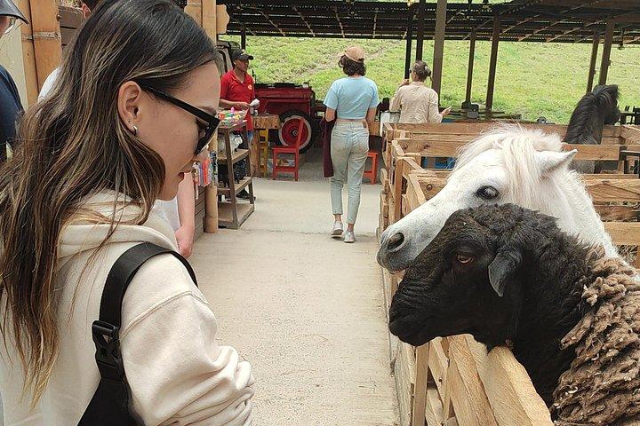 Guatapé e a rocha Tour privado de dia inteiro