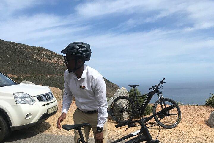 Cape Peninsula Tour