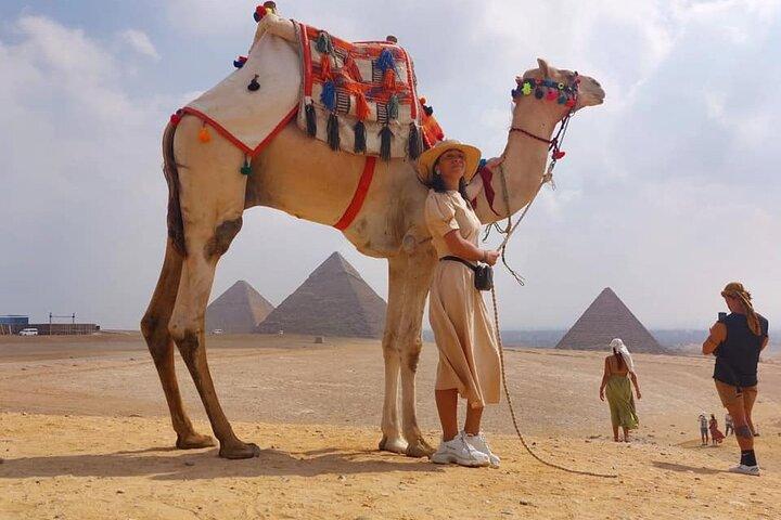 Kamel- oder Pferderitt in der Wüste jederzeit von Kairo oder Gizeh Hotels