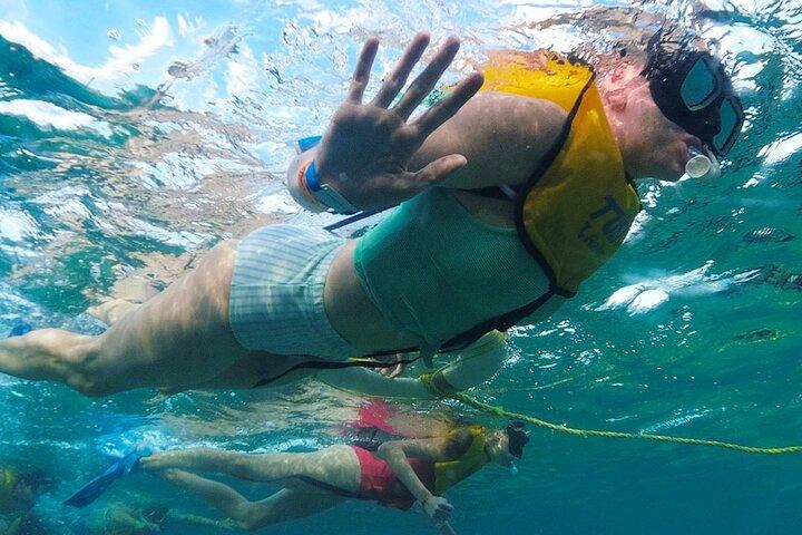Snorkel com transporte de Cancun