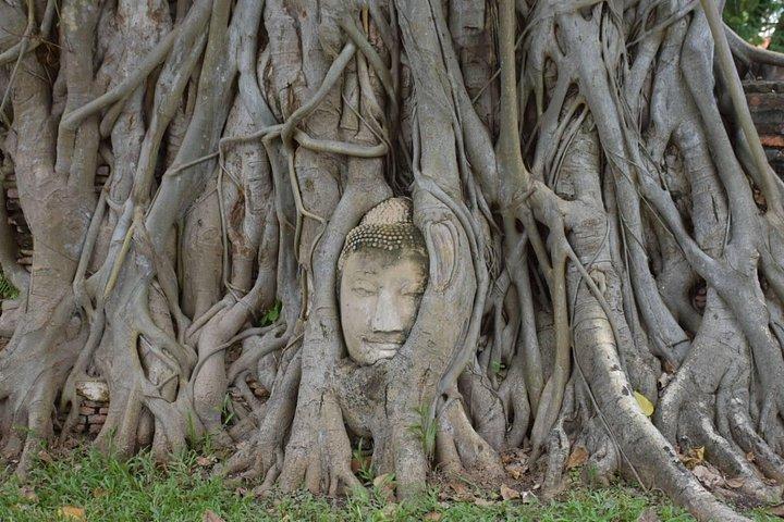 1日でバンコクとアユタヤ（世界遺産）のハイライト