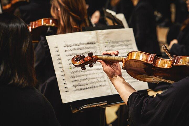 Mozart, Beethoven, Strauss in Wien Private Tour & Konzert