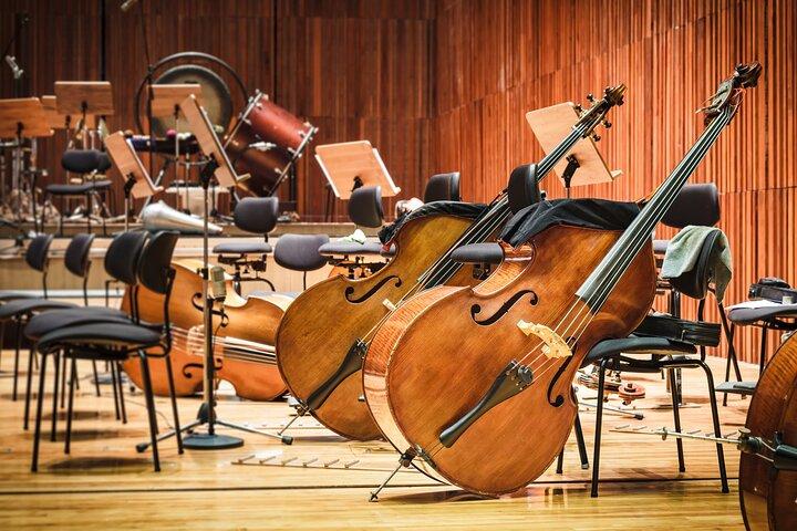 ウィーンのモーツァルト、ベートーヴェン、シュトラウス プライベート ツアー & コンサート