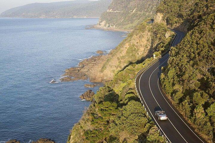 Excursion d'une journée sur Great Ocean Road au départ de Melbourne