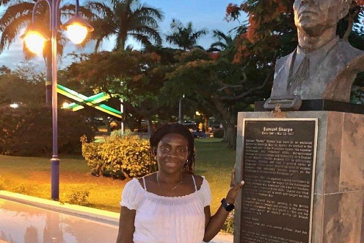 キングストン日帰り旅行 - キングストンのデヴォン・ハウス、ボブ・マーリー＆壁画。