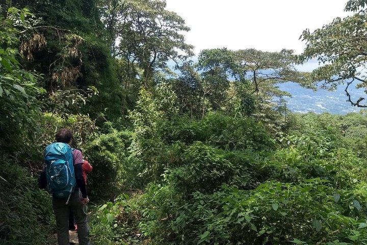 Chicaque Cloud Forest Hike - 4 hours