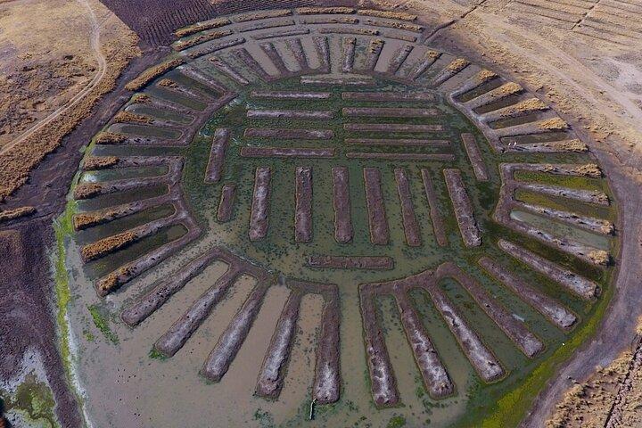 Tour privado de círculos de cultivos de 2 horas en el lago Titicaca desde Puno