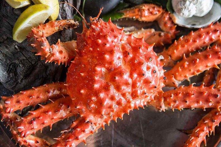 Premium kongekrabberute i Tierra del Fuego