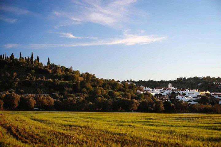 Buggy Expedition - Half-Day Off-Road Guided Tour from Albufeira