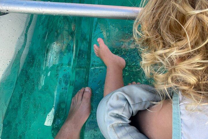 Clear Bottom Glassy Kayak Rental | MAUI | Säkra och stabila kajaker