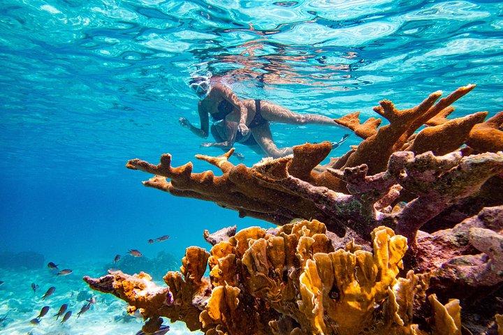 Private Bonaire Snorkeling Experience