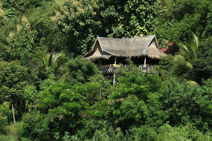 プライベートツアー：ルアンパバーンからのPak Ou CaveとKuang Si Waterfallツアー