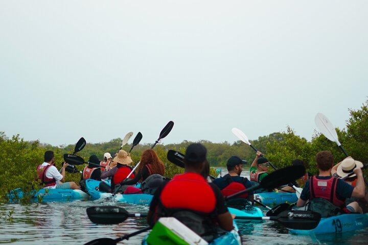 Kajak door de mangroven naar het Paarse Eiland