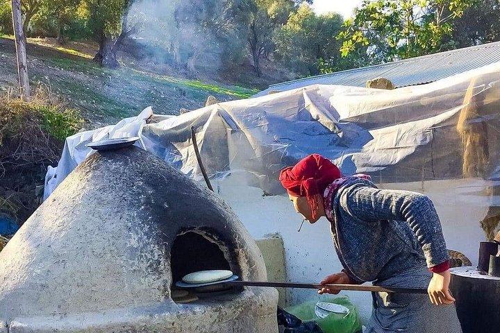 Private Excursion, Atlas Mountains, Ourika Valley