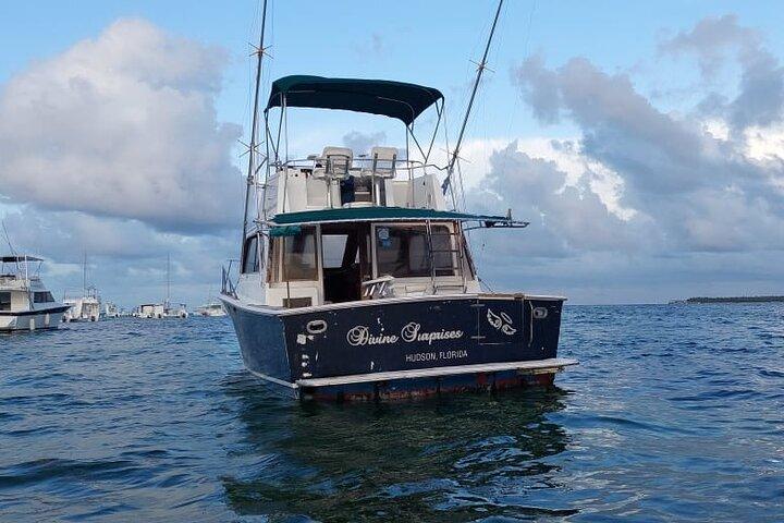 FISHING PRO CHARTERS - Bådudflugt - Divina