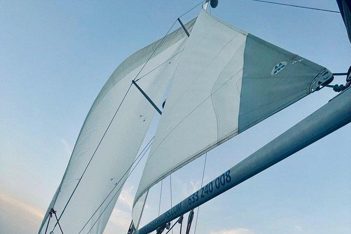 Activated Sailing trip 2 hours from Puerto de Banús Marbella