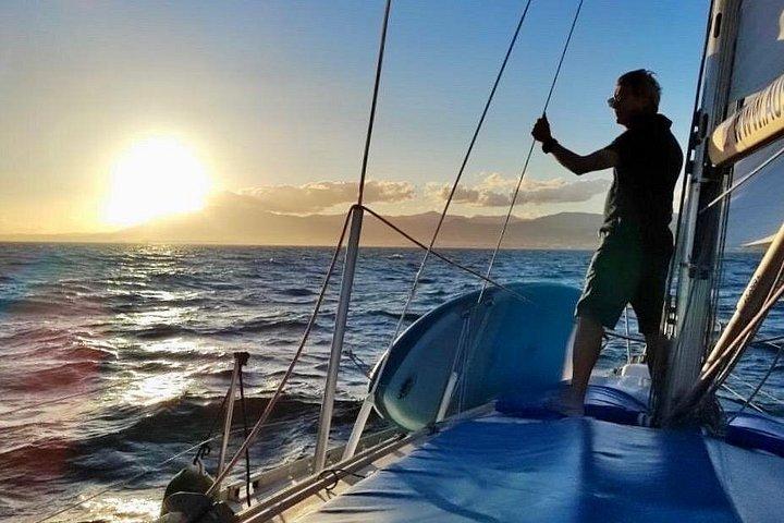 Activated Sailing trip 2 hours from Puerto de Banús Marbella