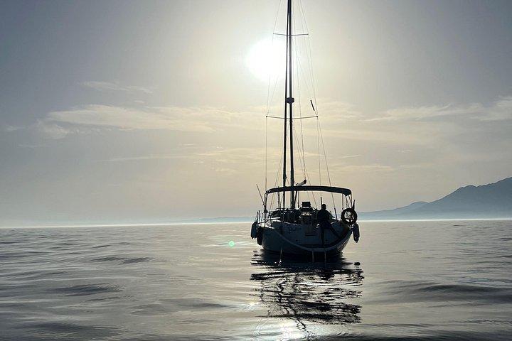 Activated Sailing trip 2 hours from Puerto de Banús Marbella