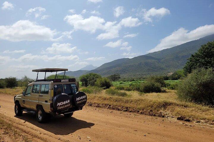 Wildsafari Tanzania