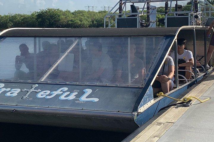 マイアミ発エバーグレーズ小グループツアー（送迎付き）