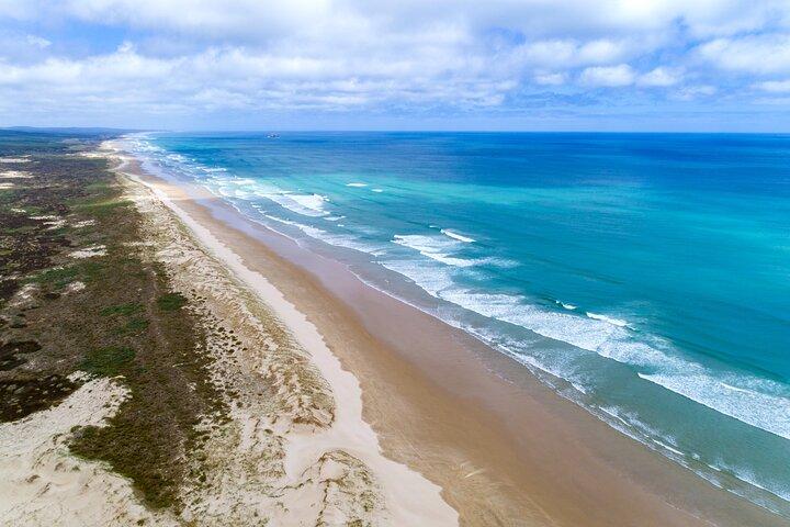 Tour naar Nieuw-Zeeland in het verre noorden inclusief 90 mijl strand en Cape Reinga vanuit Paihia