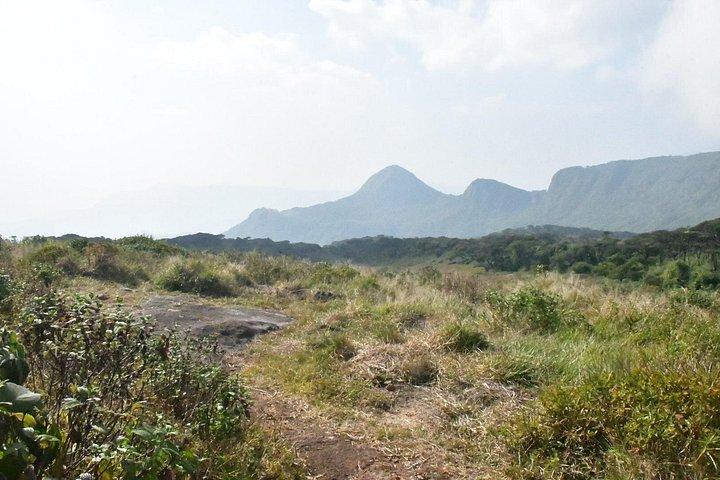 Knuckles Leopard trail Trek from Kandy