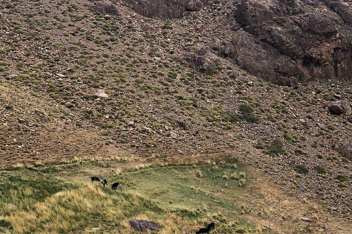 toubkal uppstigning från Marrakech 2 dagar