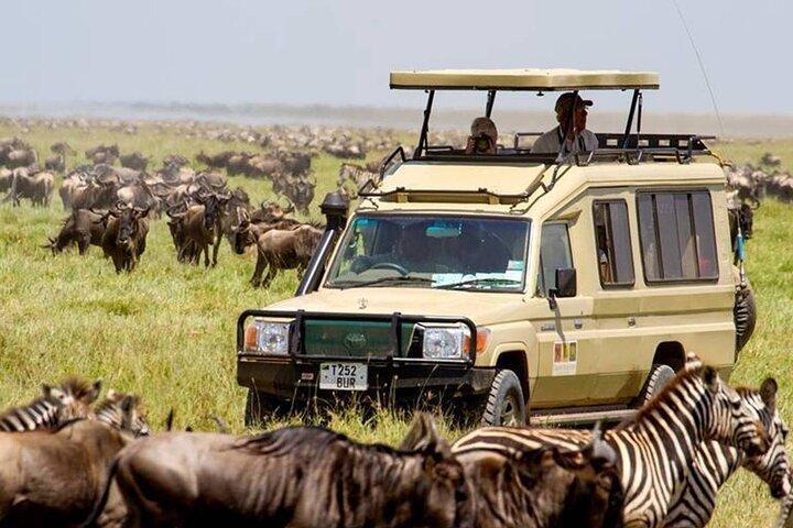 13 jours au meilleur du Kenya et de la Tanzanie