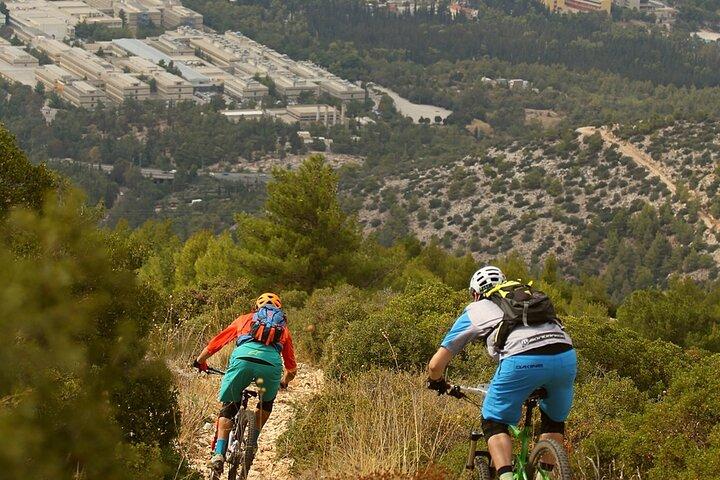 Bicicleta de montaña privada, recorrido por senderos del monte Ymittos, Atenas.