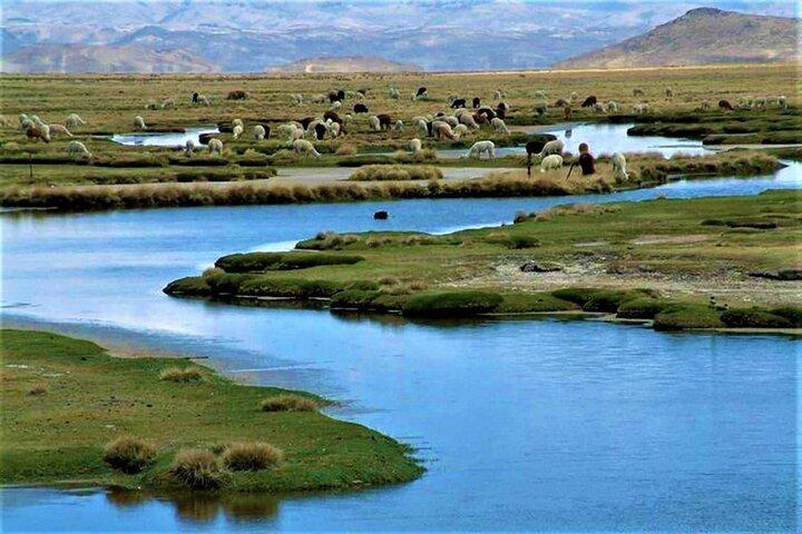 Full Day Tour to the Colca Canyon