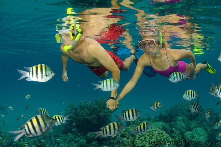 Excursion au bord de mer à Nassau : Aventure de plongée avec un tuba aux Bahamas