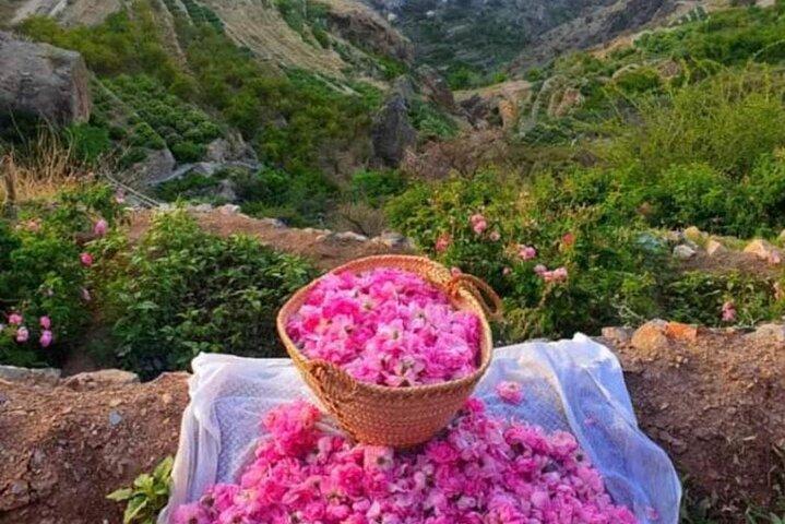 Privat Oman heldags guidad sightseeingtur
