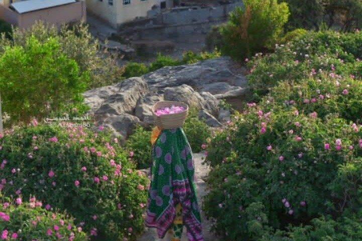 Privat Oman heldags guidad sightseeingtur