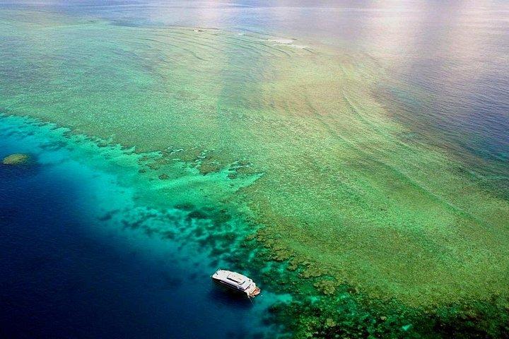 Premium Guided Dive Trip - Outer Great Barrier Reef