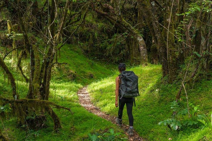 6-dages Mount Meru klatre gennem Momella-ruten guidet tur