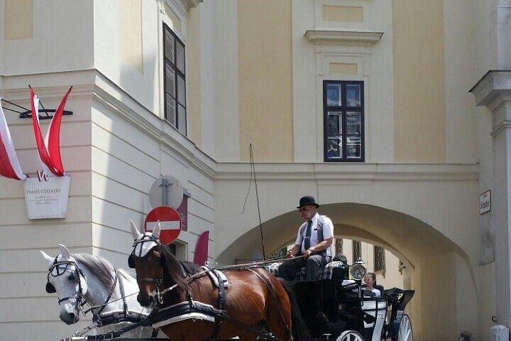Traslado privado en coche o minivan de Budapest a Viena o viceversa.
