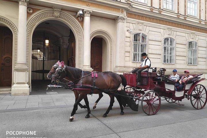 ブダペストからウィーンへの、またはその逆の専用車またはミニバンの送迎。
